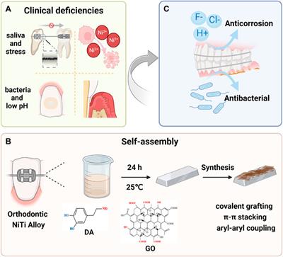 Frontiers | bio-inspired nanocomposite coatings on orthodontic